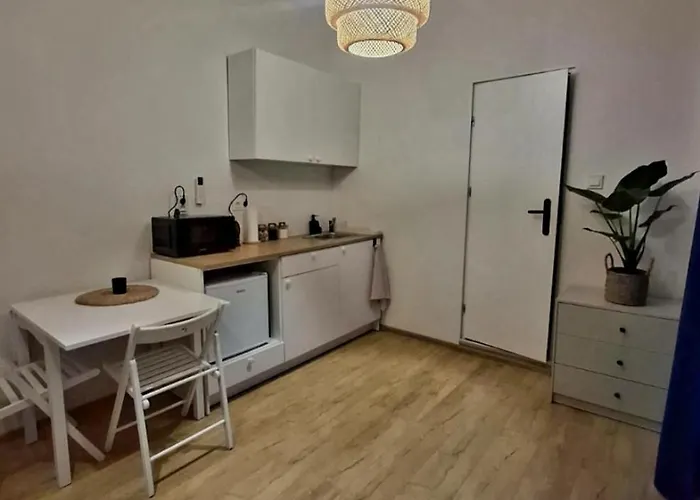 Sowia Dziupla Apartment Zagorze Slaskie